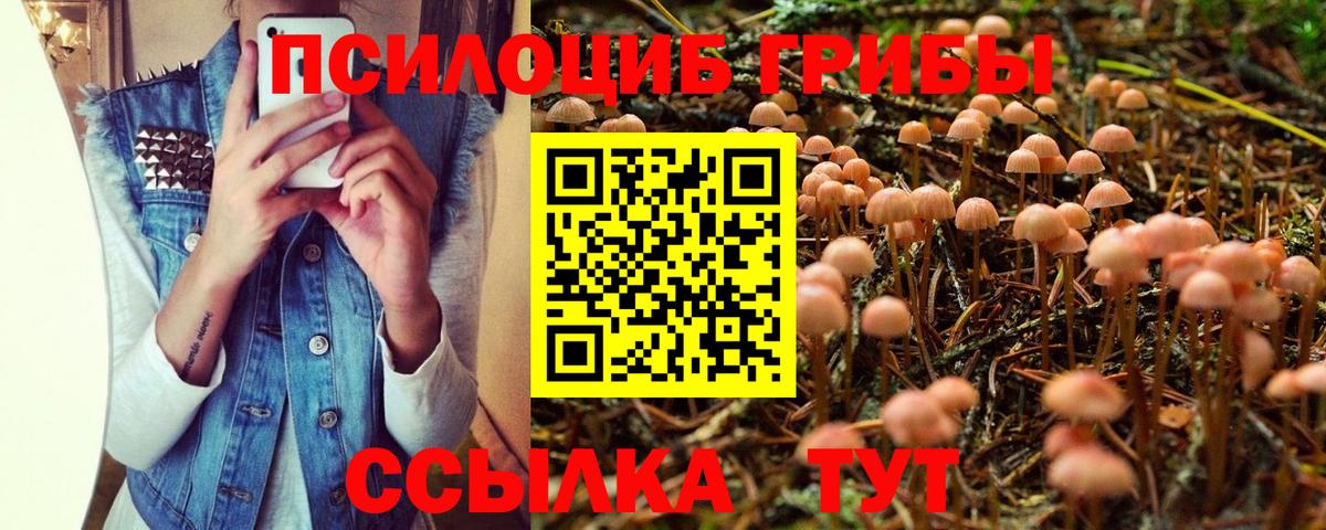 Псилоцибиновые грибы ЛСД  Галлюциногенные грибы Psilocybe  Будённовск  Вход с VPN 